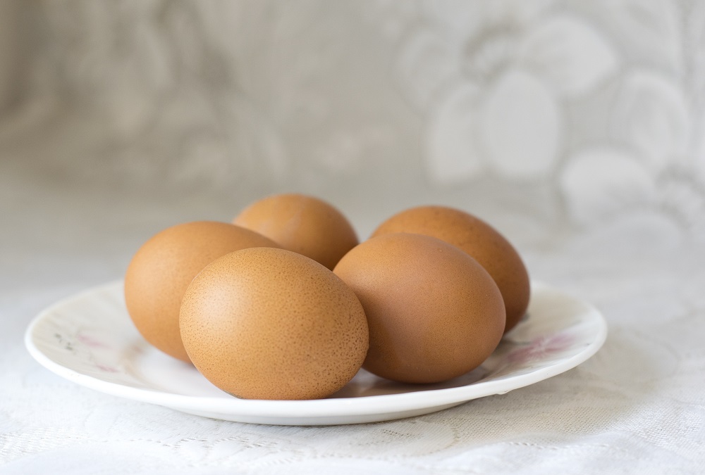 chicken-eggs
